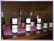 セラピスト紹介